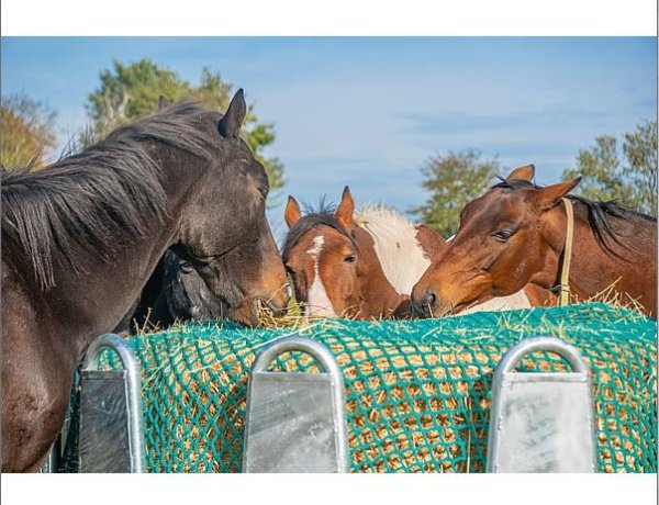 Rundballen Heunetz  d=1,5m Rund 5mm #80