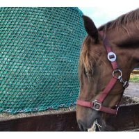 Rundballen Heunetz  d=1,5m Rund 5mm #80